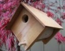 Wooden Bird House Plan